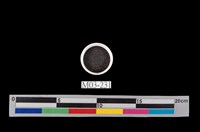 藏品(鐵砂)的圖片